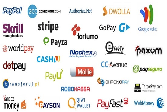 I will integrate paypal apple pay stripe amazon pay payment gateway