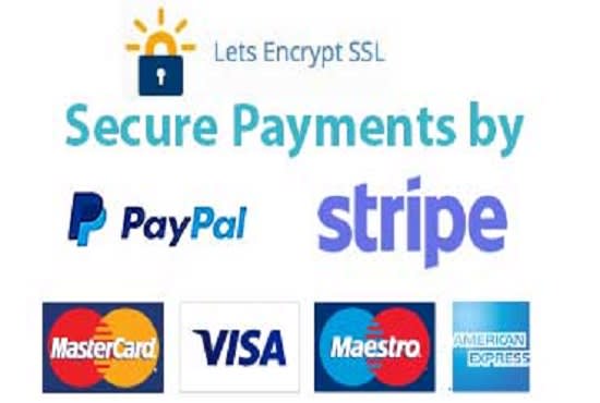 I will integrate paypal or stripe payment gateway in wordpress or shopify