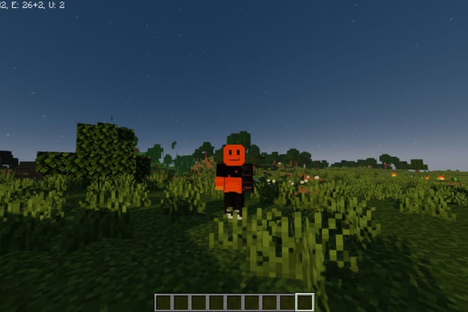 I will make you your own minecraft skin