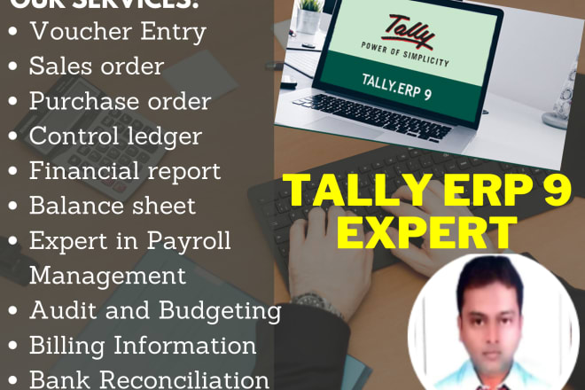 I will perform tally erp 9 related tasks