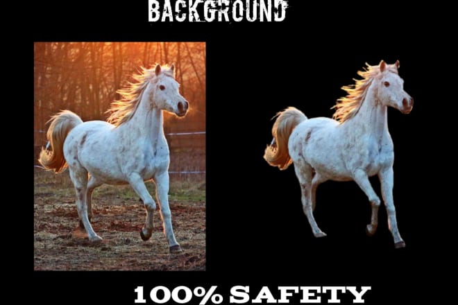I will photo background removal and changing