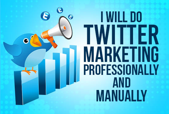 I will professionally do twitter marketing and promotion
