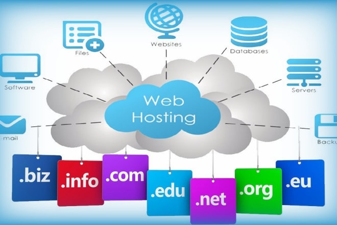 I will provide domain with hosting, email, ssl and cpanel cheap