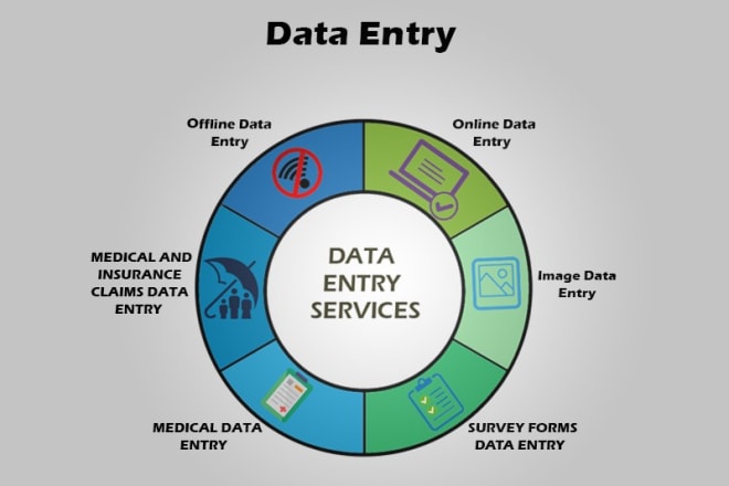 I will provide efficient data entry services at an affordable rate