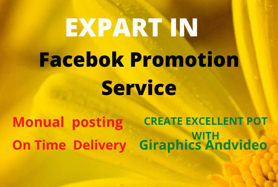 I will provide total facebook promotion solution for any USA com
