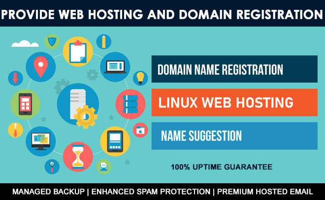 I will provide web hosting and domain registration