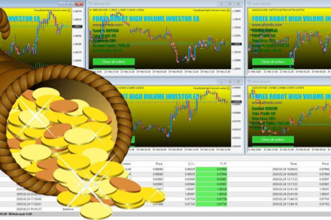 I will provide you with my profitable forex ea that support any broker