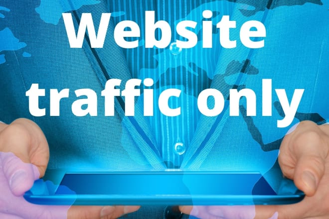 I will real web traffic 300,000