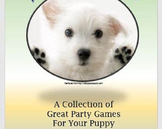 I will send a puppy party games activities printable ebooklet