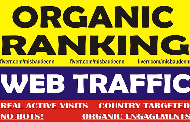 I will send genuine unlimited organic geo targeted web traffic, real website visitors