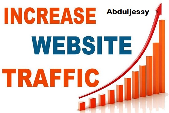 I will send real USA web traffic visitors to your website