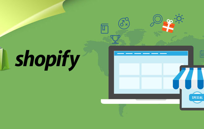 I will setup a high scale shopify business