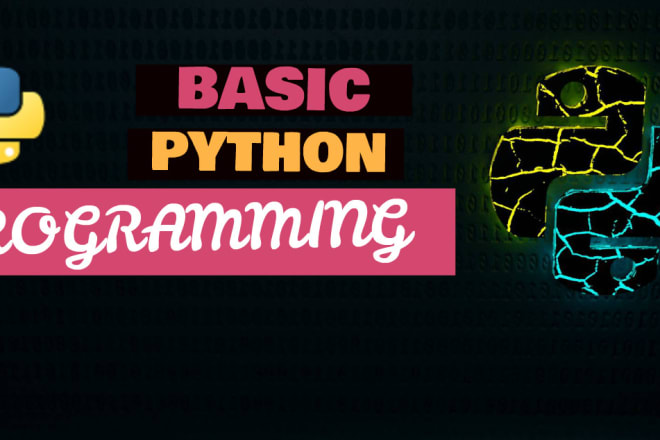 I will teach basics of python programming as an online tutor