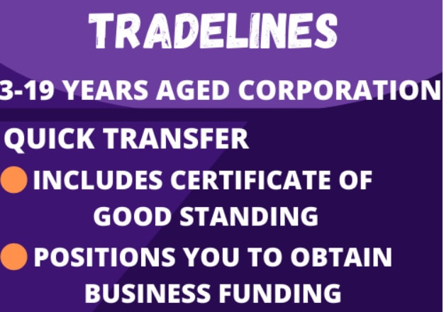 I will transfer a 3 to 19 year aged corp get funding business credit