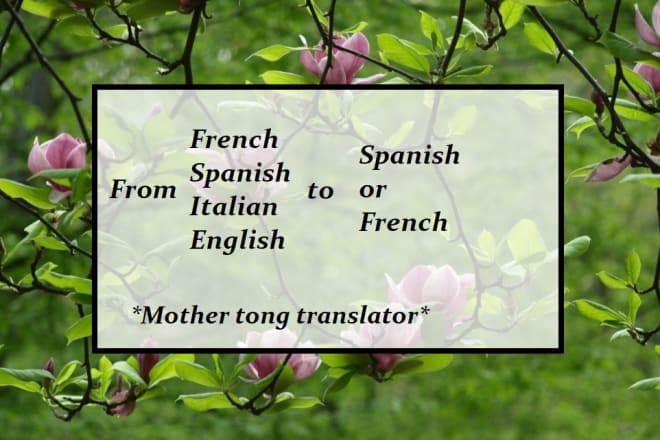 I will translate from french,spanish,italian,english to french or spanish