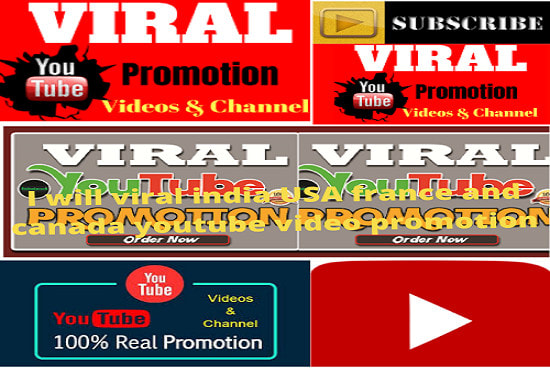 I will viral india USA france and canada youtube video promotion
