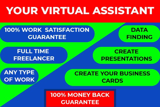 I will your professional virtual assistant