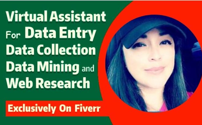 I will be professional data entry, data mining, copy paste, web research