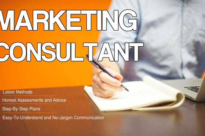 I will be the marketing consultant for your business or start up