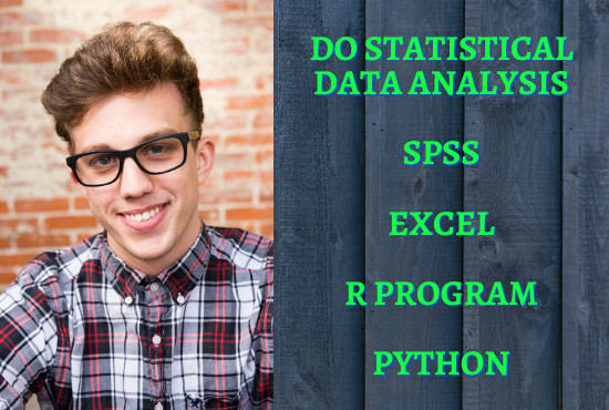 I will be your data analyst with r, stata, excel, and spss