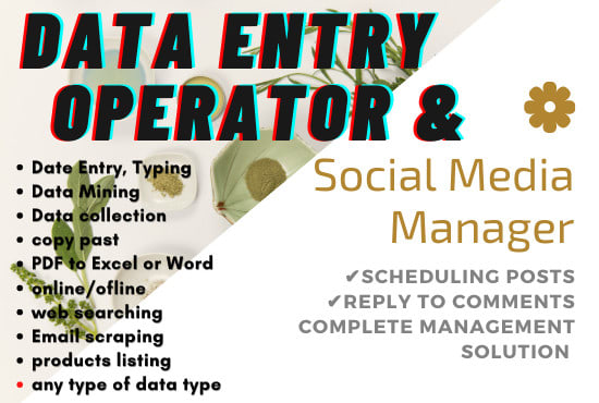 I will be your data entry, social media virtual assistant