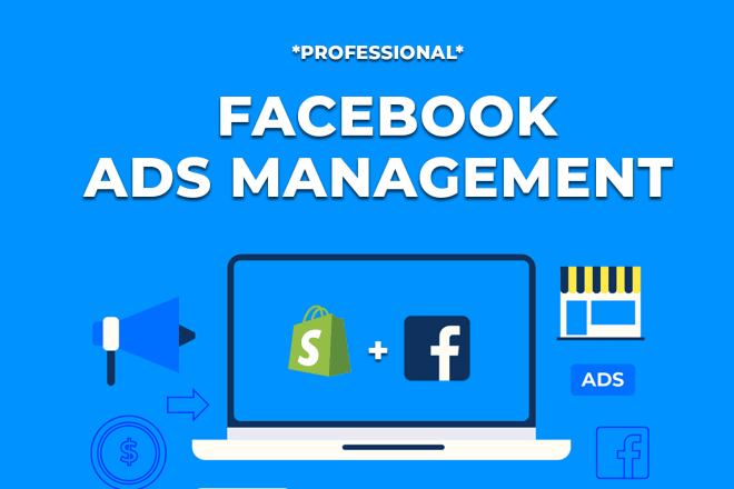 I will be your ecommerce facebook ads manager