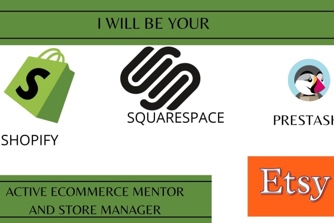 I will be your ecommerce mentor shopify mentor and shopify manager