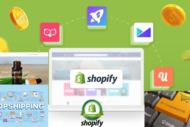 I will be your ecommerce shopify dropshipping mentor cbd website guide