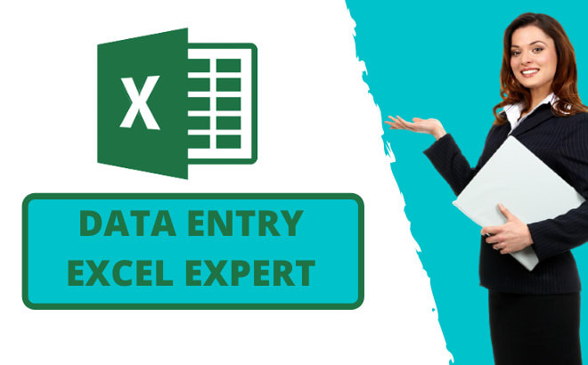 I will be your excel expert for data entry