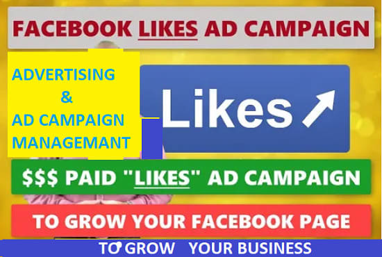 I will be your fb ads manager, setup facebook ads campaign, with retargeting