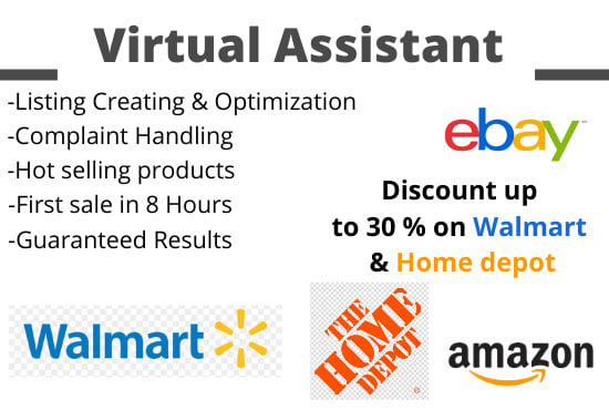 I will be your professional ebay virtual assistant