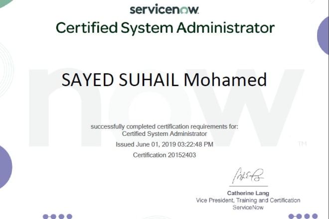 I will be your servicenow administrator, trainer and support guy