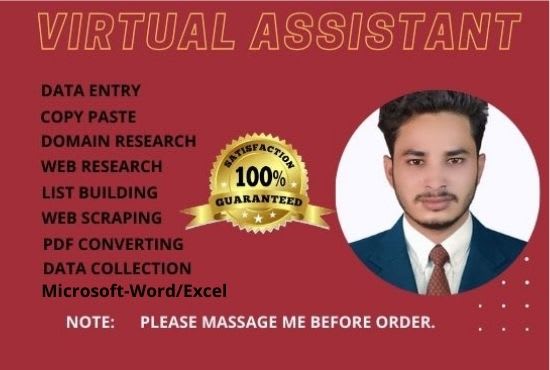 I will be your virtual assistants for data entry job