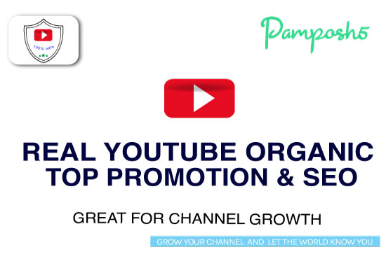 I will be your youtube channel growth maker with real organic audience