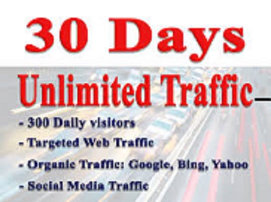 I will bring unlimited real visitors, targeted web traffic