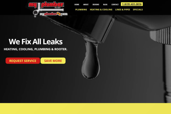 I will build a plumber, painter, furniture website