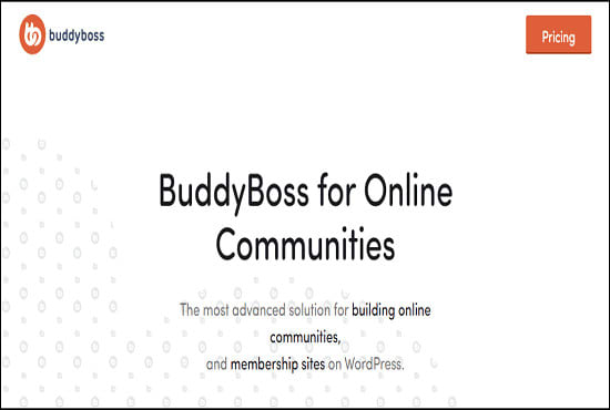 I will build a professional buddyboss wordpress website