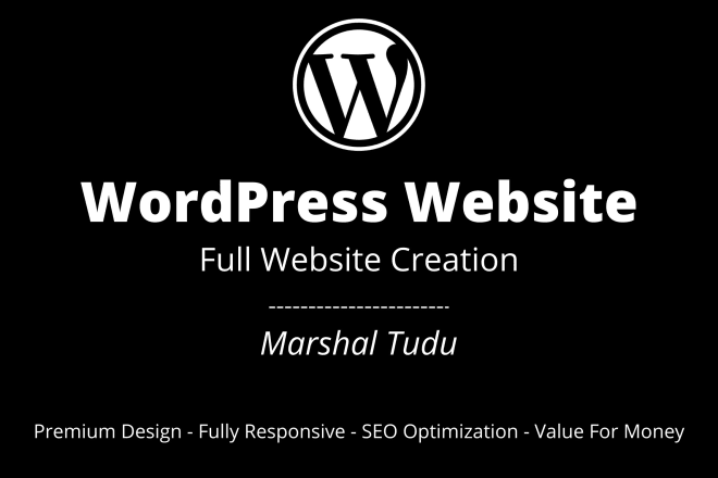 I will build and customize responsive wordpress website design