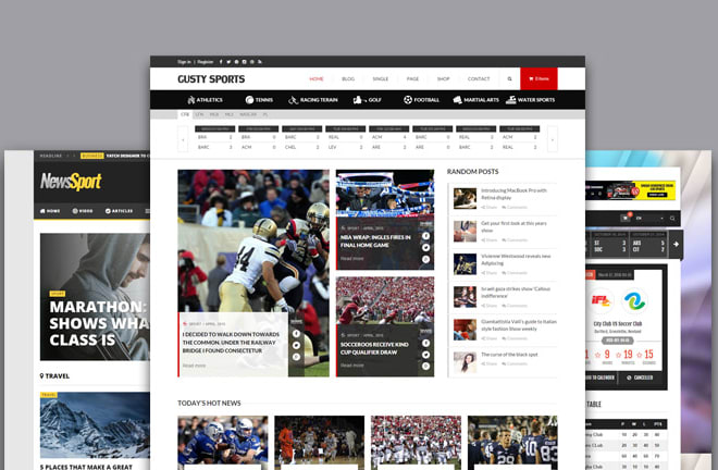 I will build automated sports news wordpress website