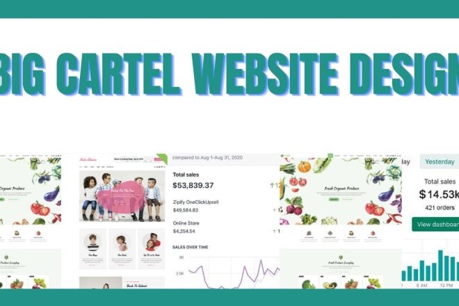 I will build big cartel website design or redesign