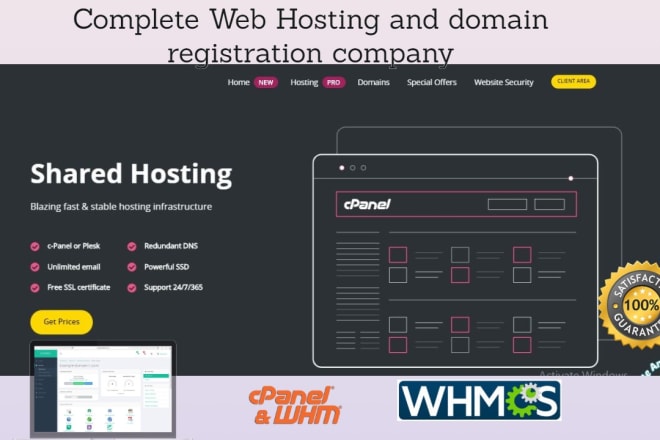 I will build web hosting and domain name registration company