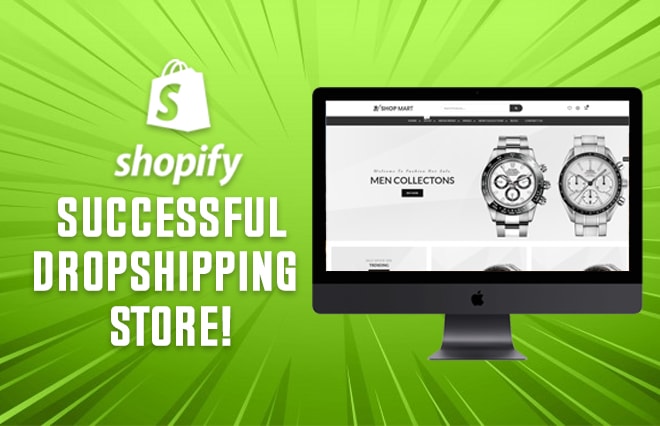 I will build you a successful drop shipping store