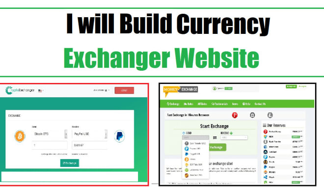 I will build your own currency exchange website