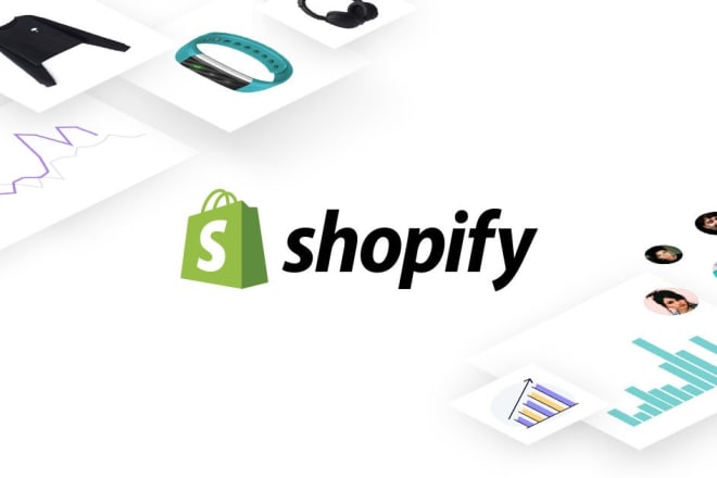 I will build your own website through shopify