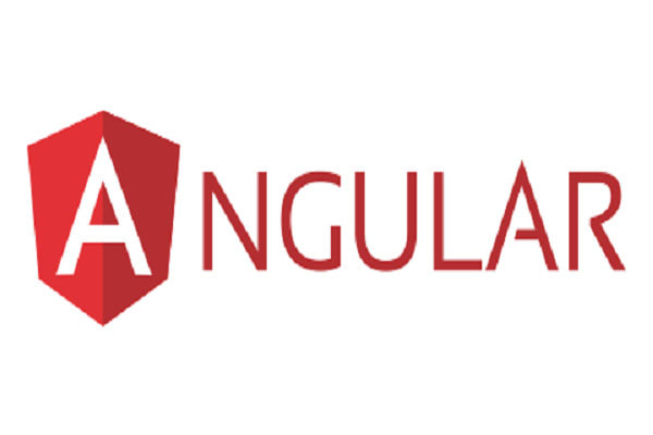 I will can build site in angular