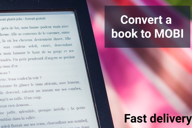 I will convert epub or PDF to kindle