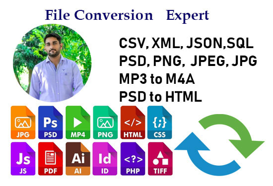 I will convert files xml, csv, json, pdf to excel, HTML, psd format