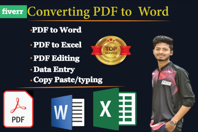 I will convert PDF to excel and PDF to word