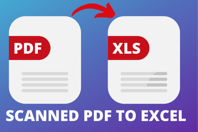 I will convert scanned PDF to word excel