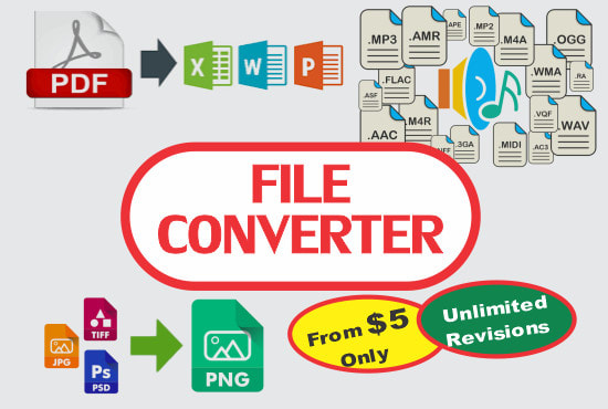 I will convert your files to desired format files